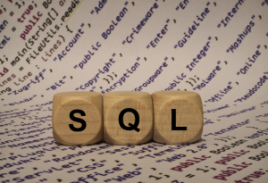 SQL DirectQuery for Empowering End-Users to Generate Customized Reports